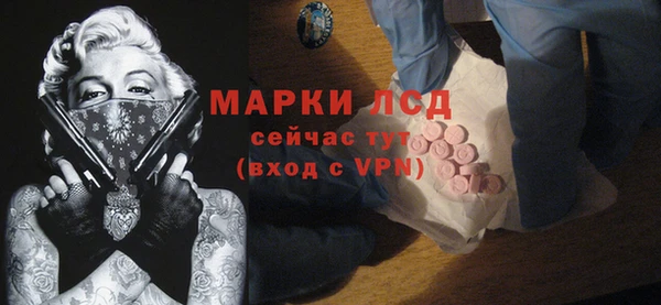 прущие грибы Наволоки