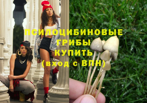МДПВ Абаза